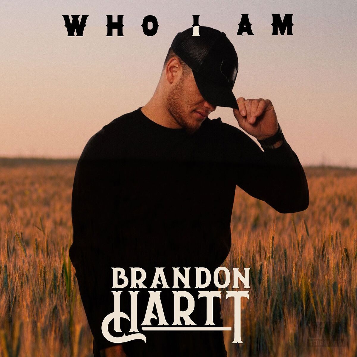 Album cover of Who I Am