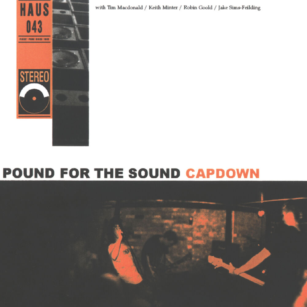 Picture of Pound for the Sound