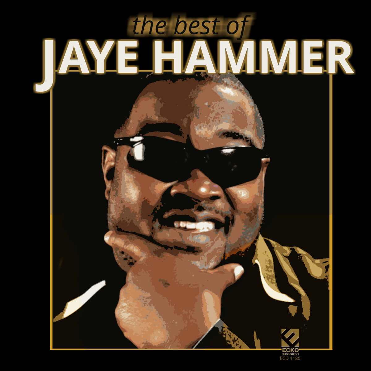Album cover of The Best of Jaye Hammer