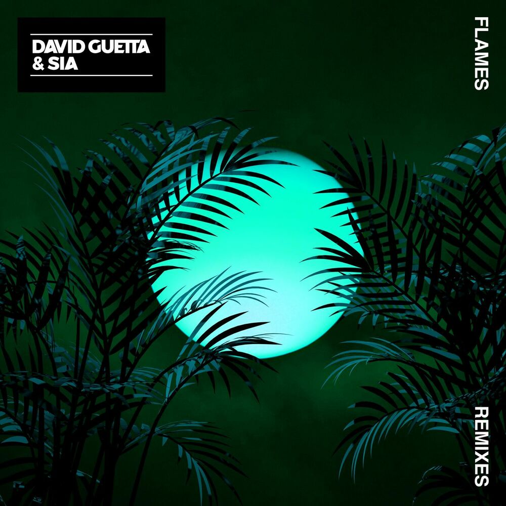 Picture of Flames (Remixes)