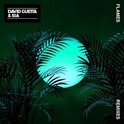 Cover of Flames (Remixes)