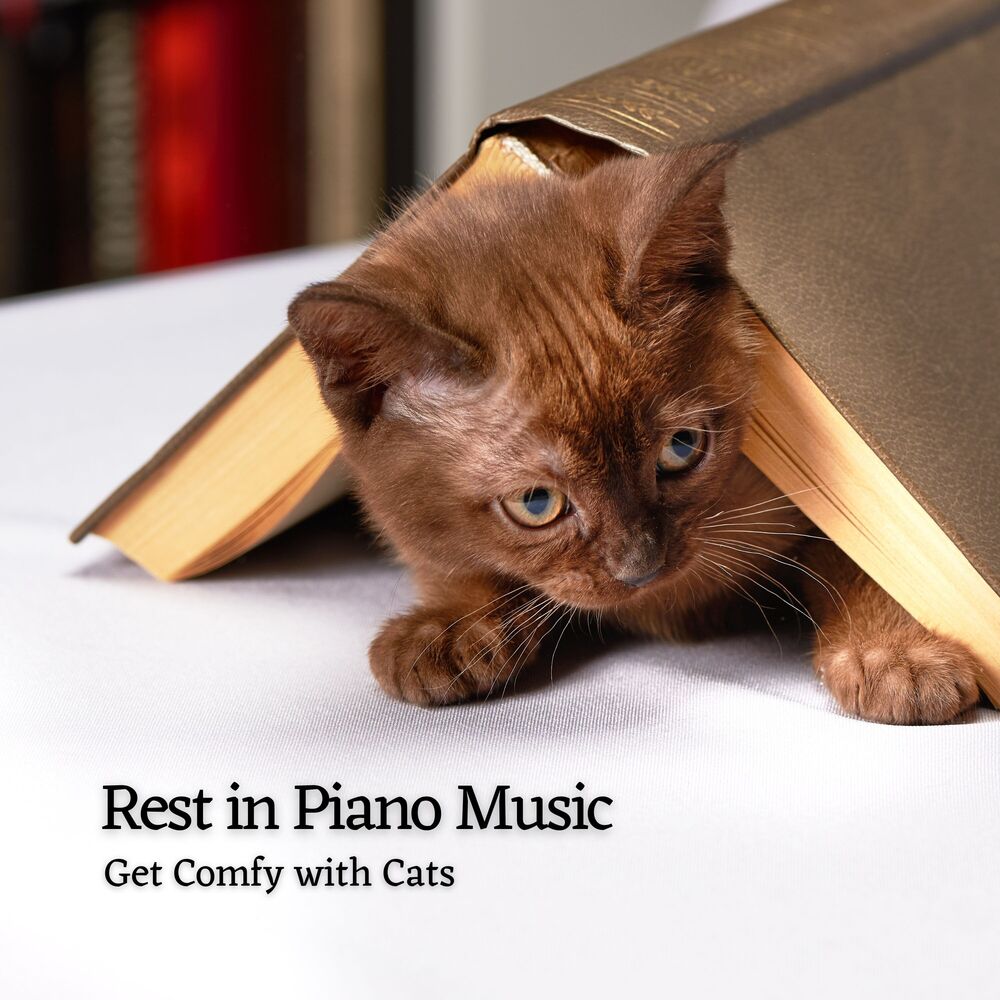 Picture of Rest in Piano Music: Get Comfy with Cats