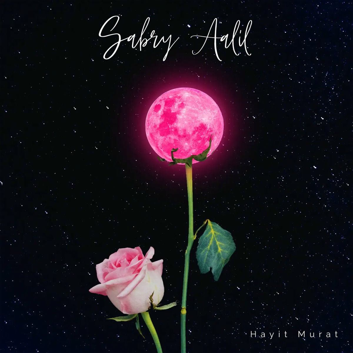 Album cover of Sabry Aalil