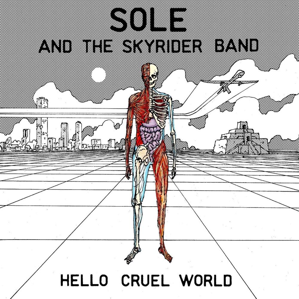 Picture of Hello Cruel World