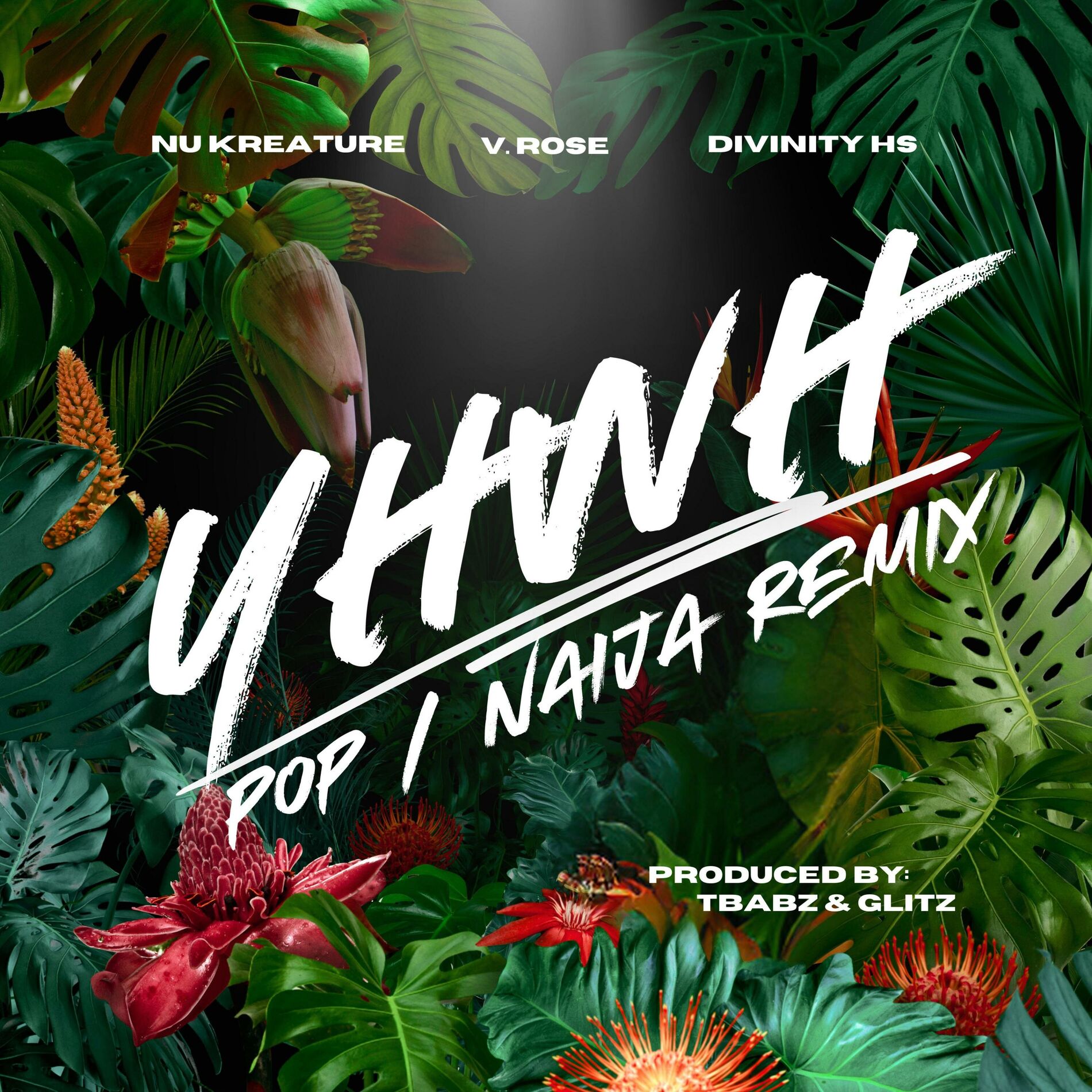 Album cover of YHWH (feat. V. Rose & Divinity Hs) [Pop/Naija Remix - Extended Version]
