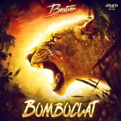 music cover