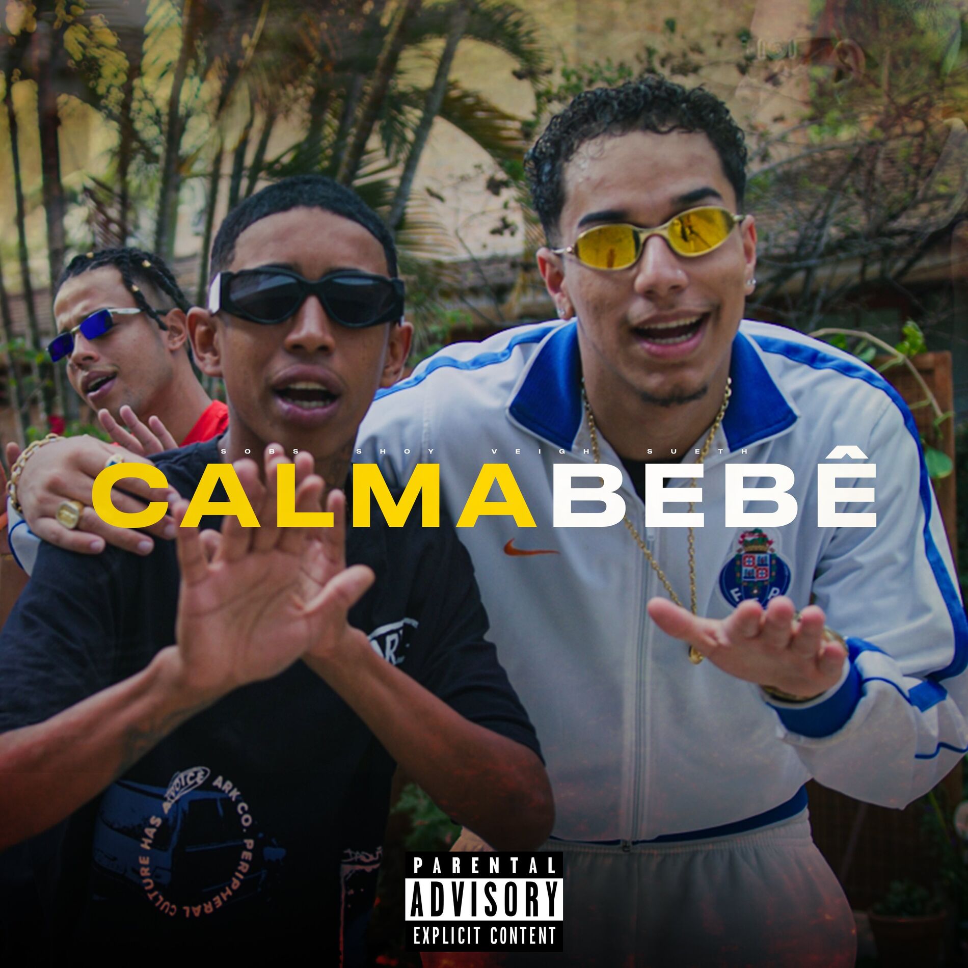 Album cover of Calma Bebê