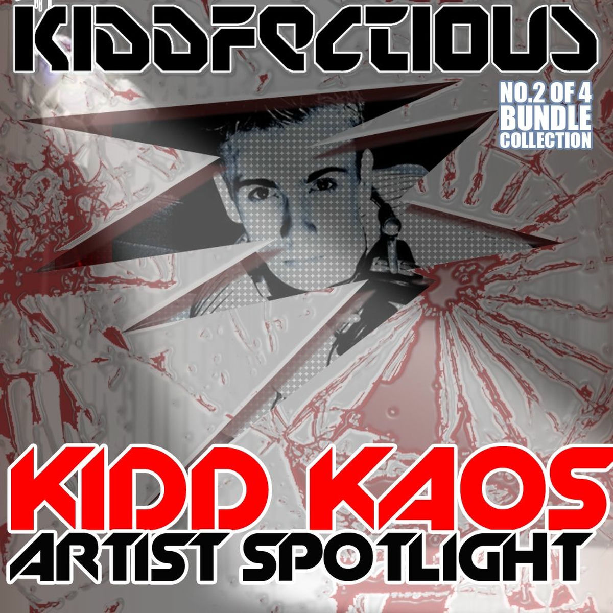 Album cover of Kiddstock Theme 2008