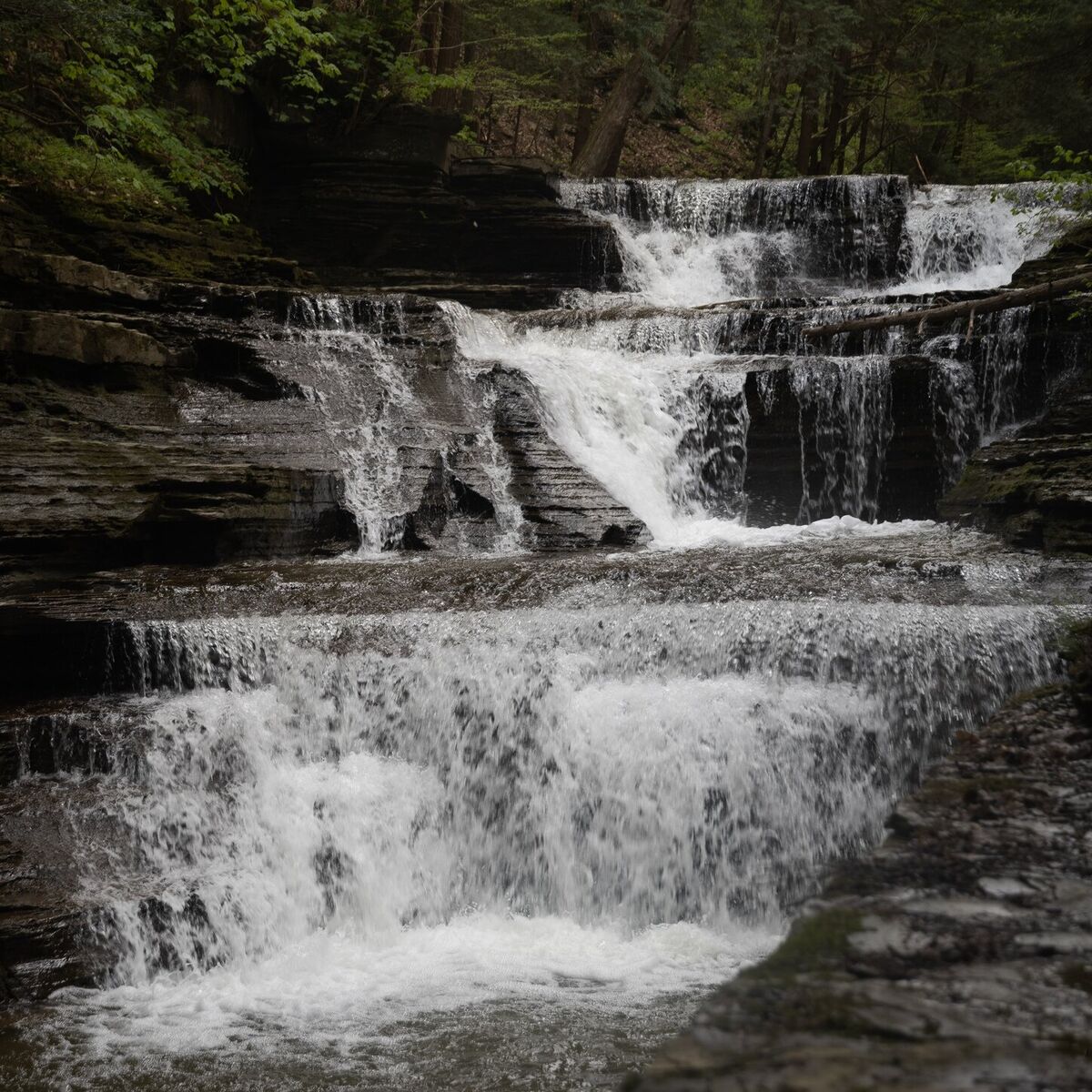 Album cover of Fortune Falling