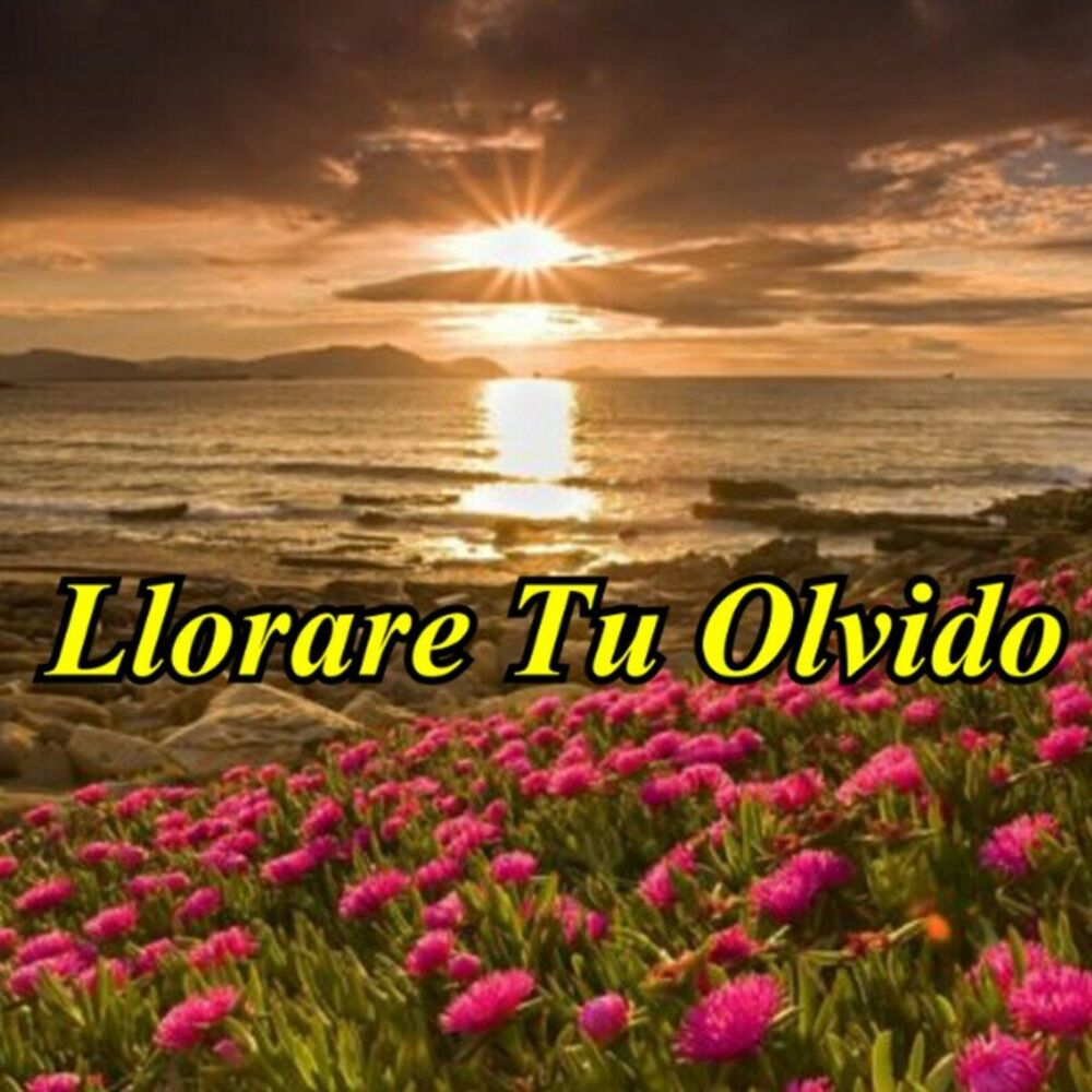 Picture of Llorare Tu Olvido
