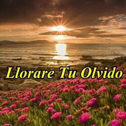 Cover of Llorare Tu Olvido