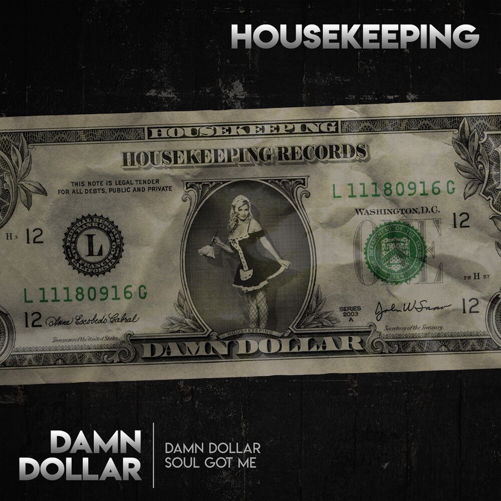 Picture of Damn Dollar