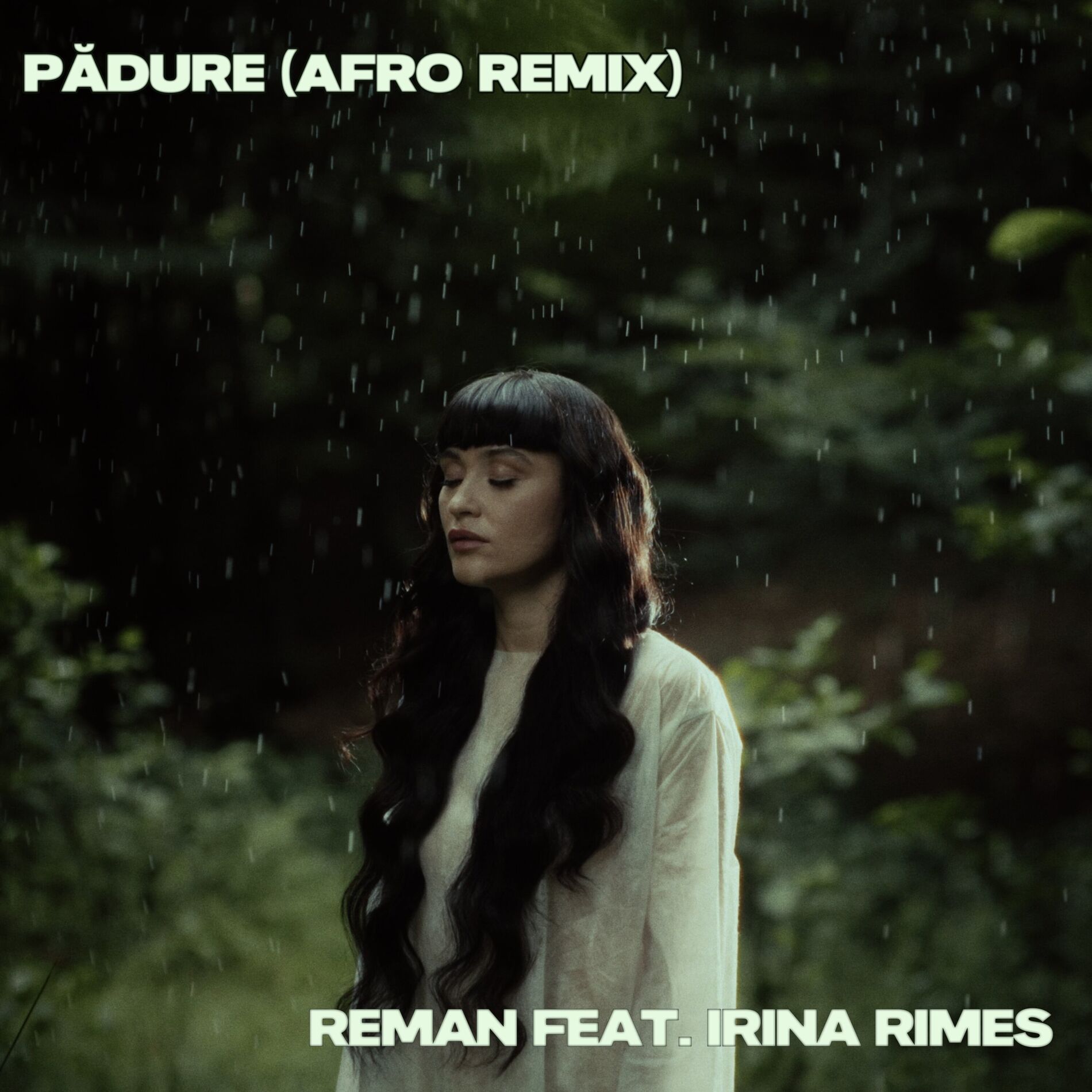 Album cover of Pădure