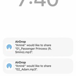 Cover of Passenger Princess / Adam
