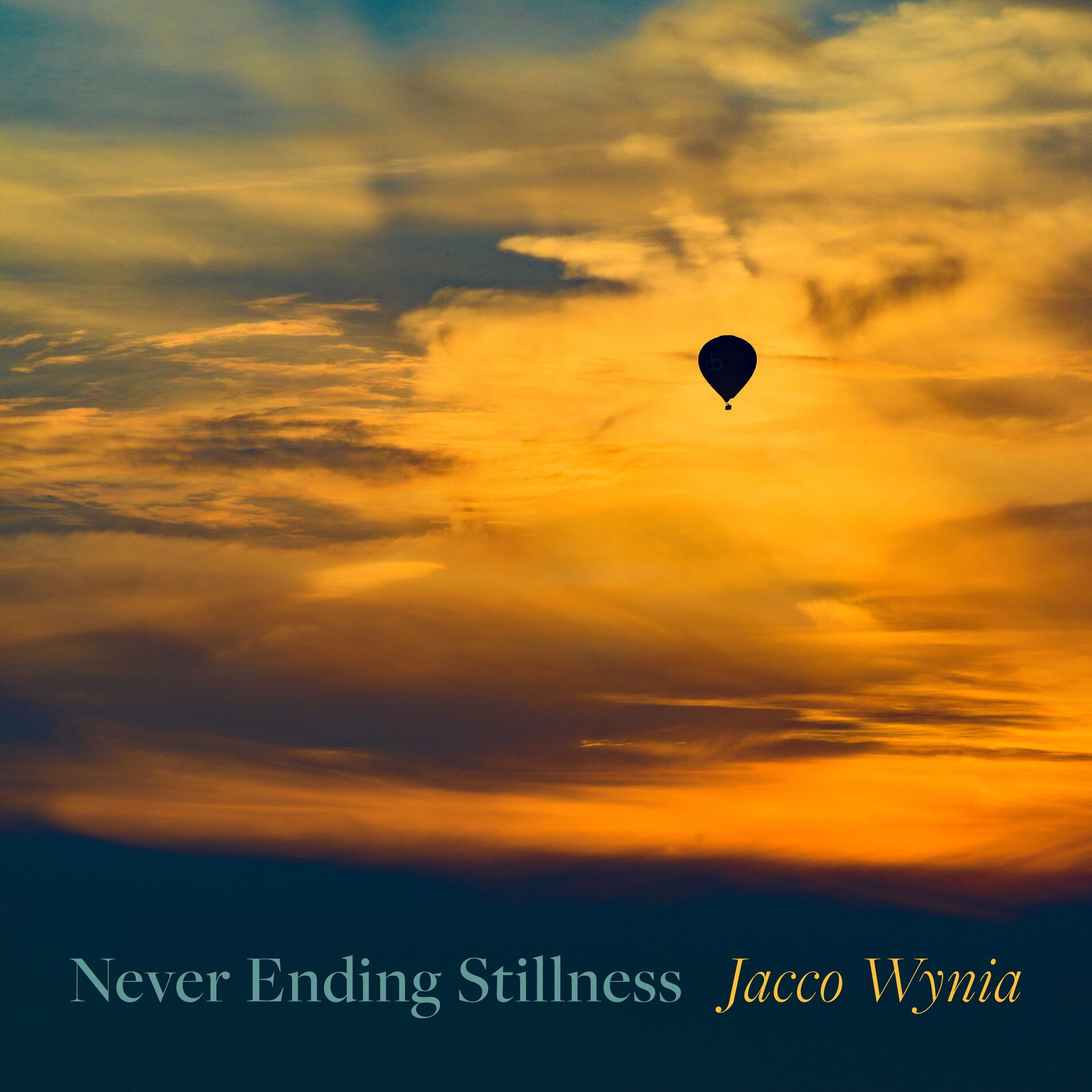 Album cover of Never Ending Stillness