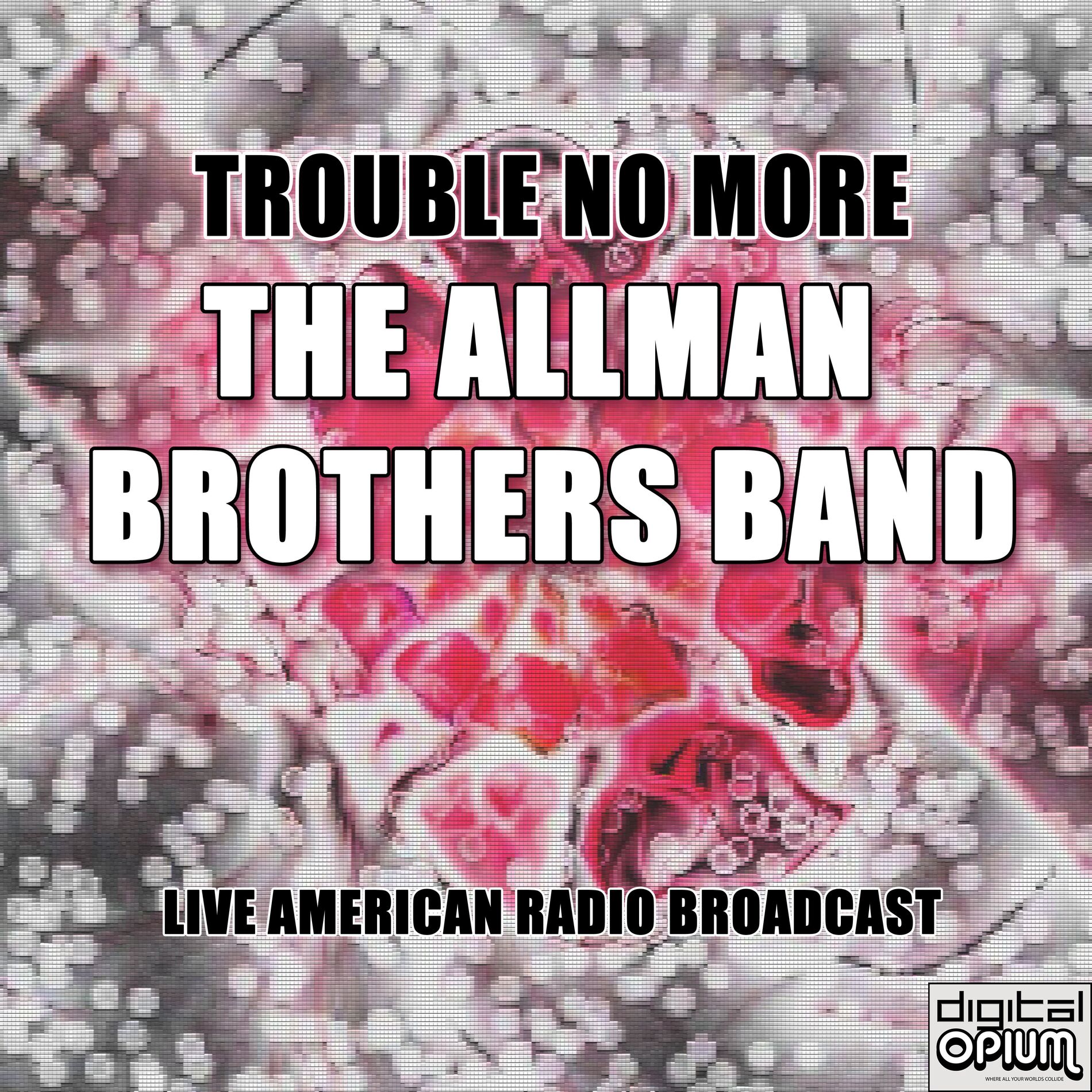 Album cover of Trouble No More (Live)