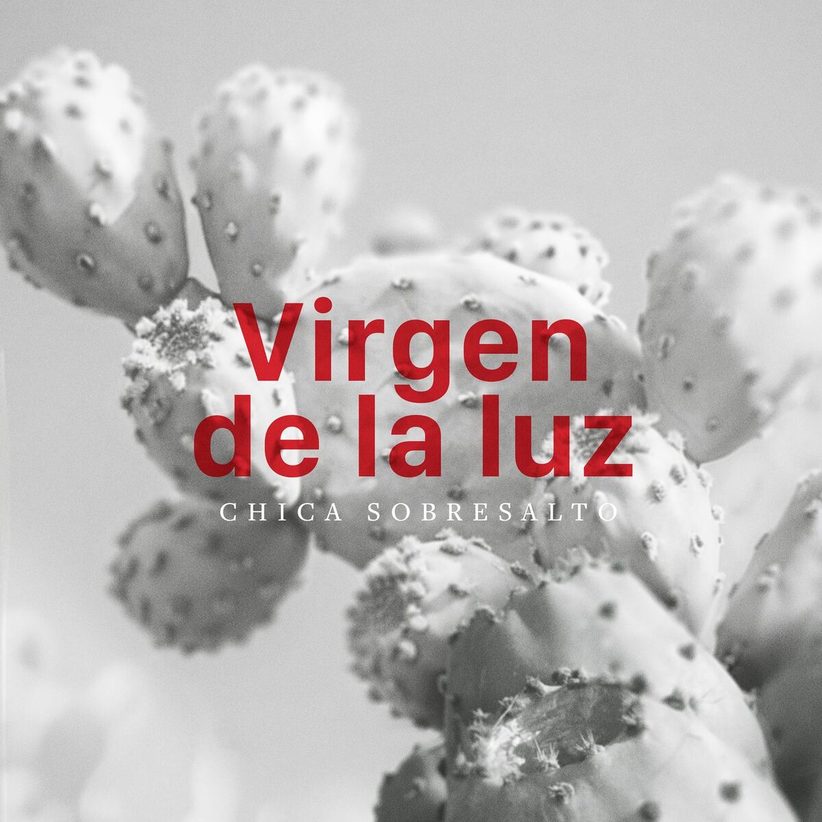 Album cover of Virgen de la Luz