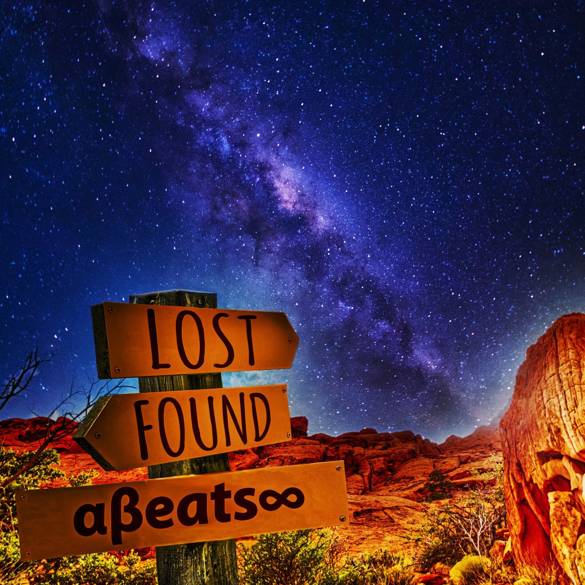 Album cover of Lost & Found
