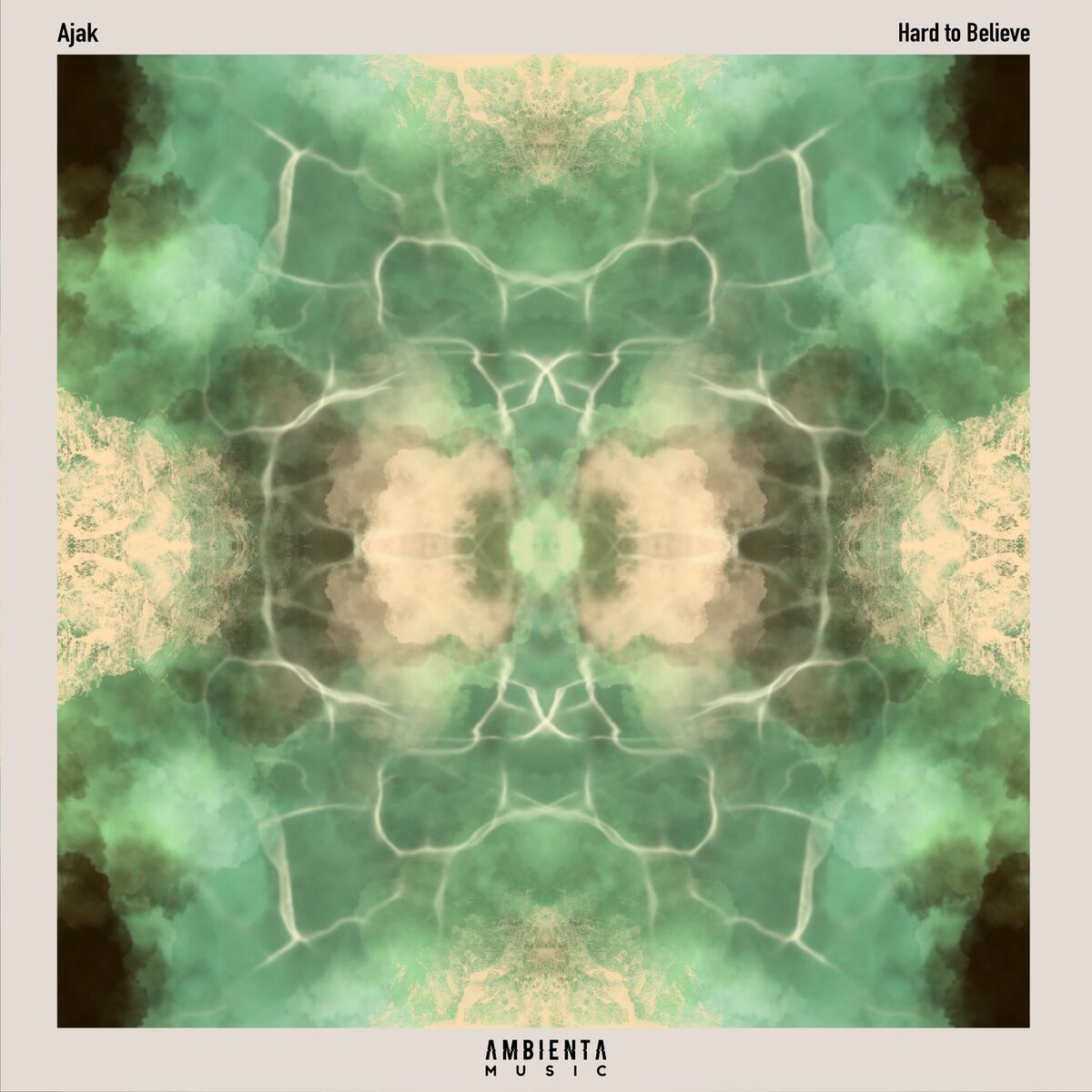 Album cover of Hard to Believe