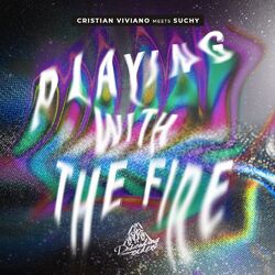 Cover of Playing with the Fire