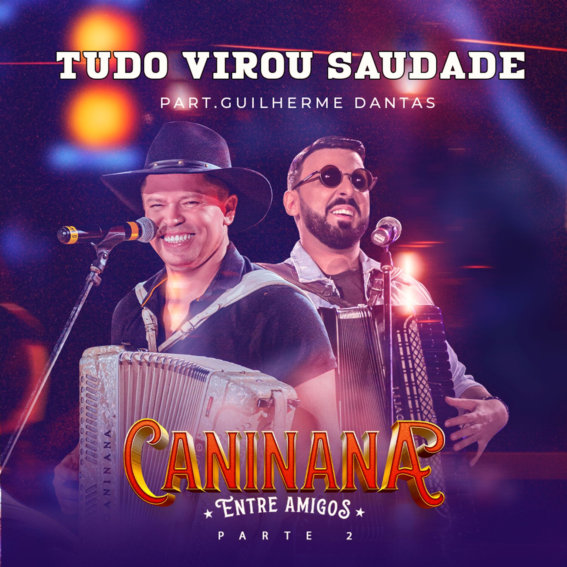 Album cover of Tudo Virou Saudade