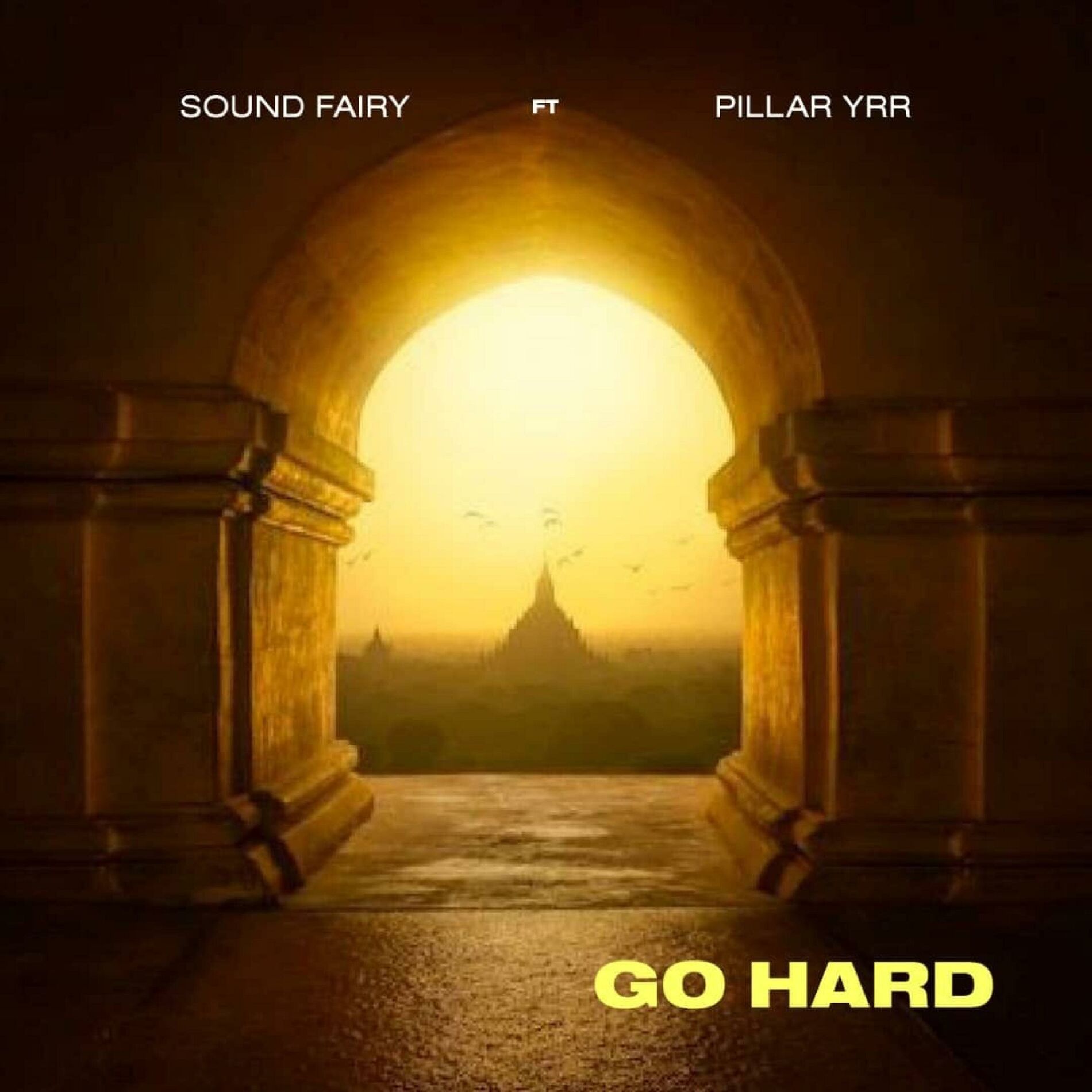 Album cover of Go Hard