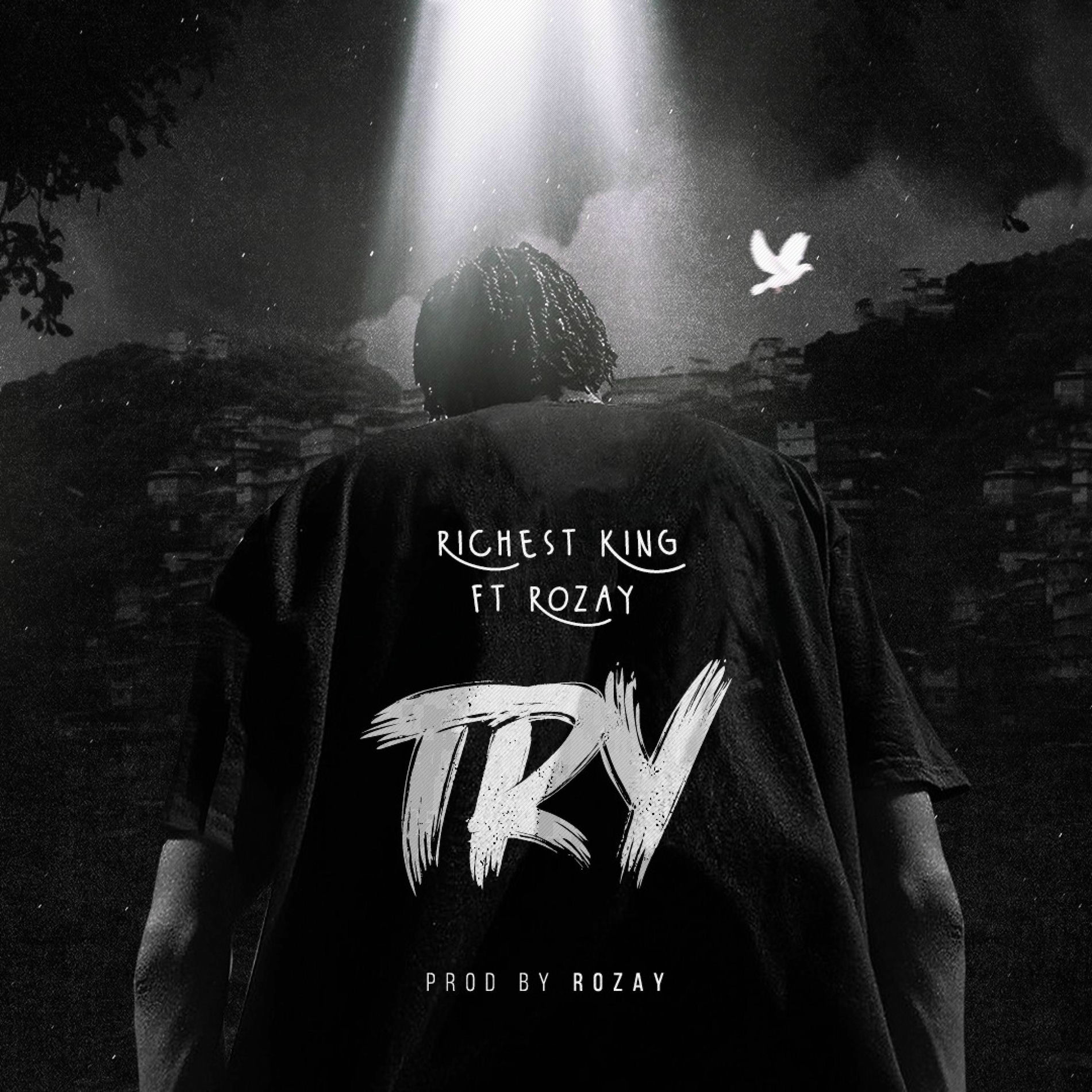 Album cover of TRY (feat. Rozay)