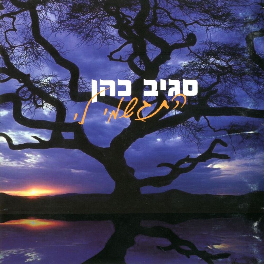 Picture of התגשמי לי