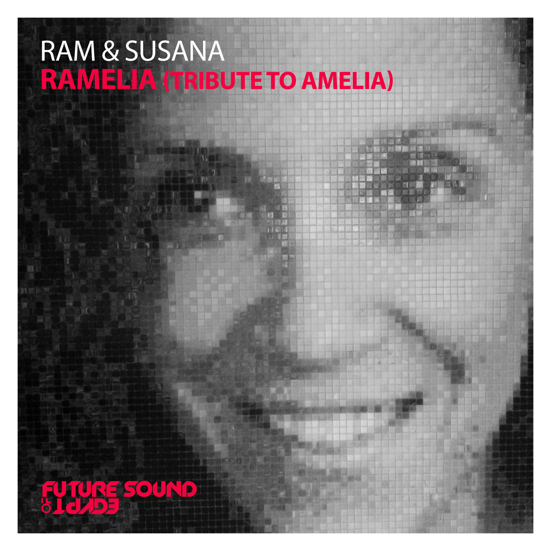 Album cover of RAMelia (Tribute To Amelia)