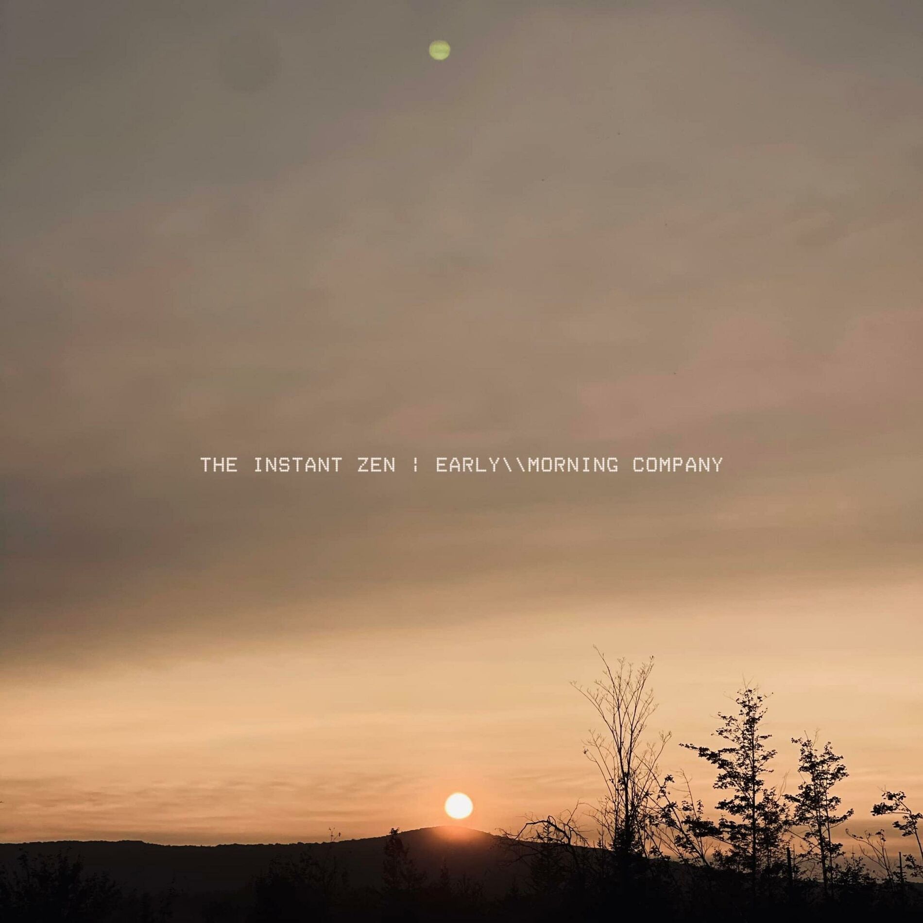 Album cover of The Instant Zen