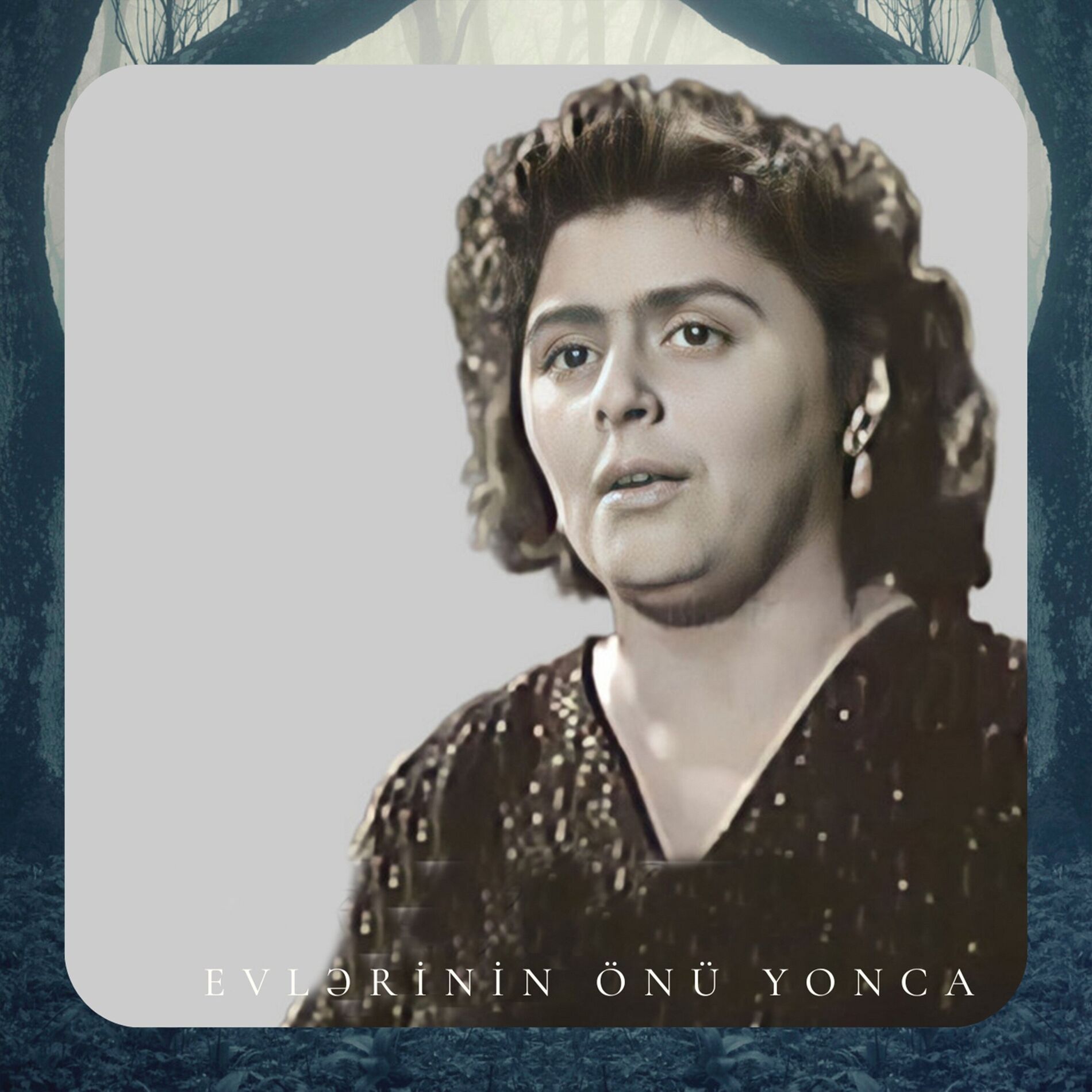 Album cover of Evlərinin önü yonca