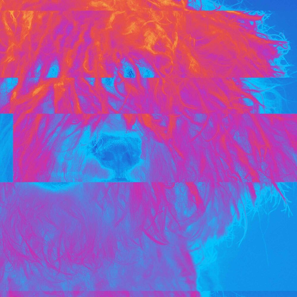 Picture of Guitar Jazz - Background for Doggy Afternoon Rest