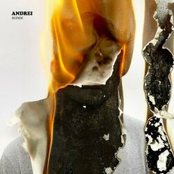 Cover of Incendie