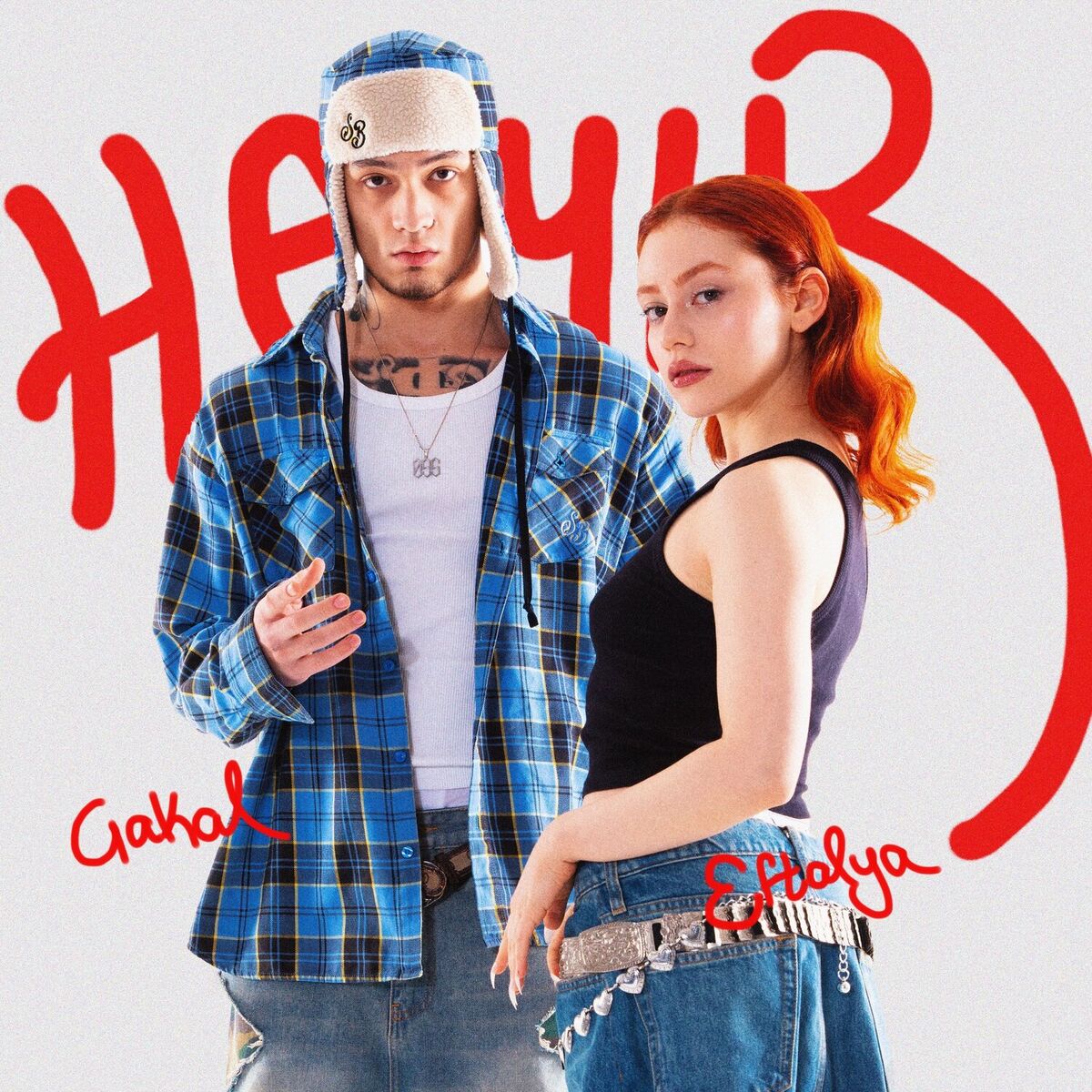 Album cover of HAYIR
