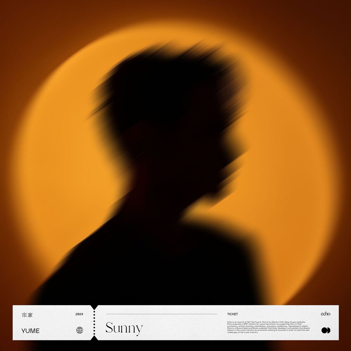 Album cover of Sunny