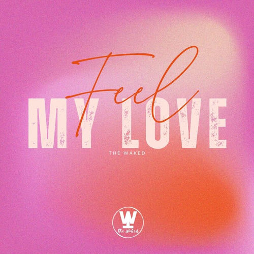 Feel My Love artwork