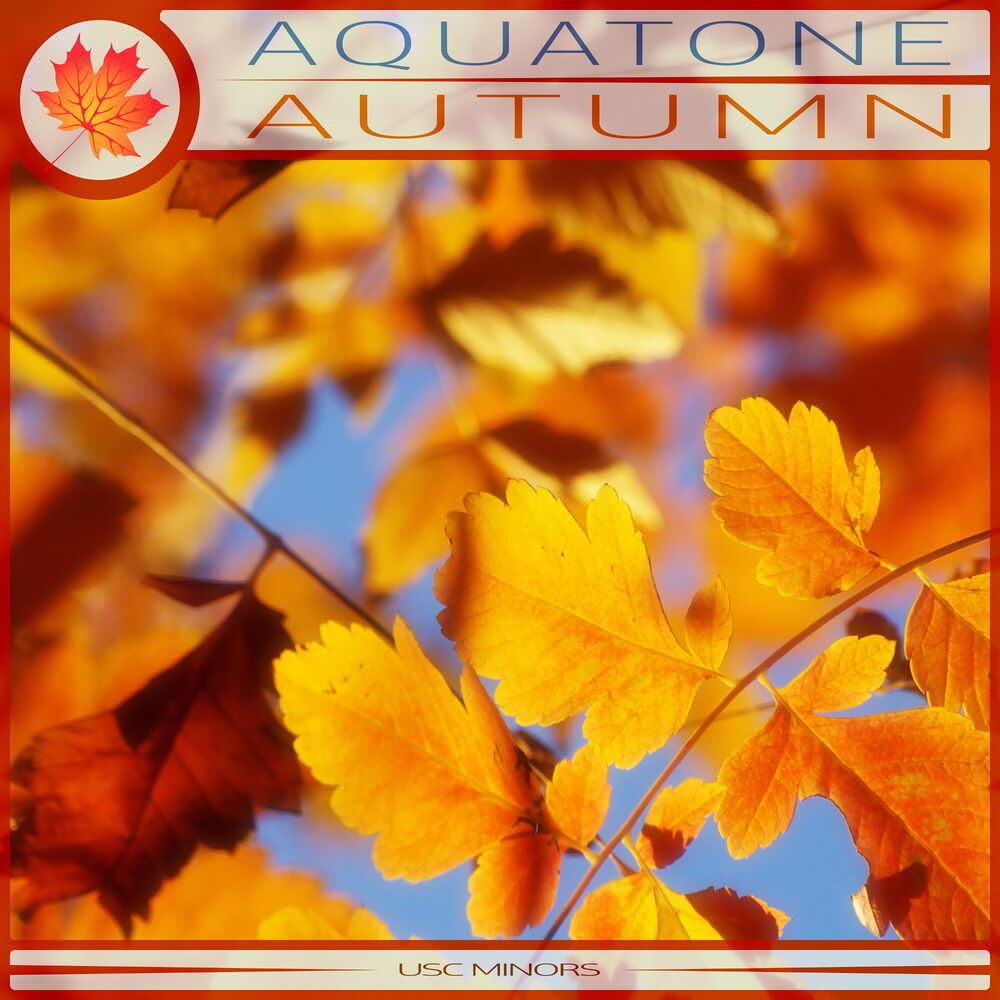 Picture of Autumn (Radio Edit)