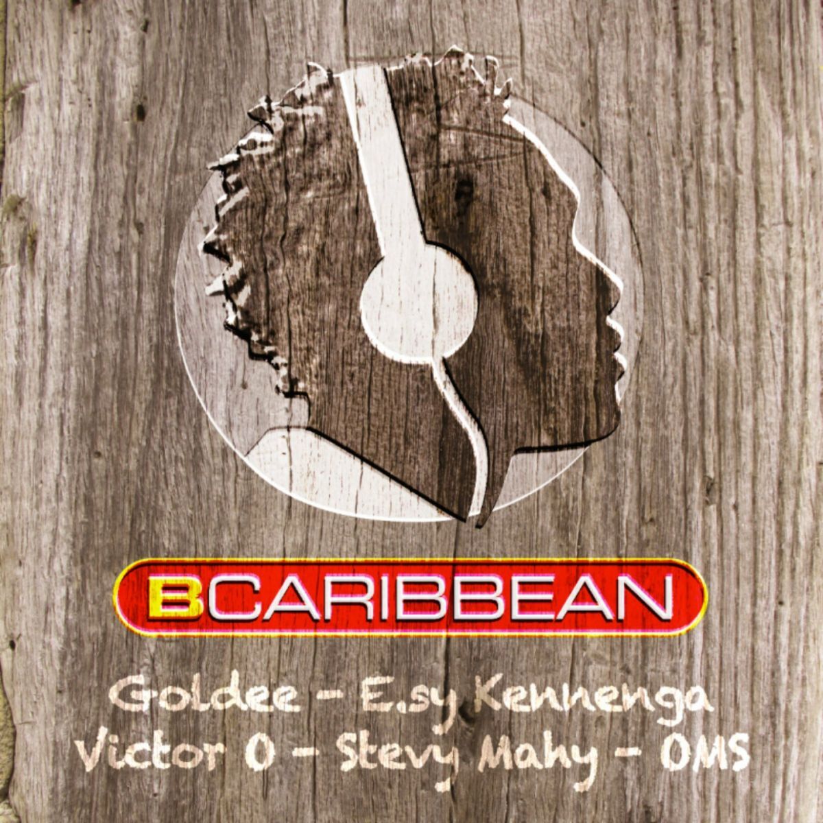 Album cover of Terres Sainvilles