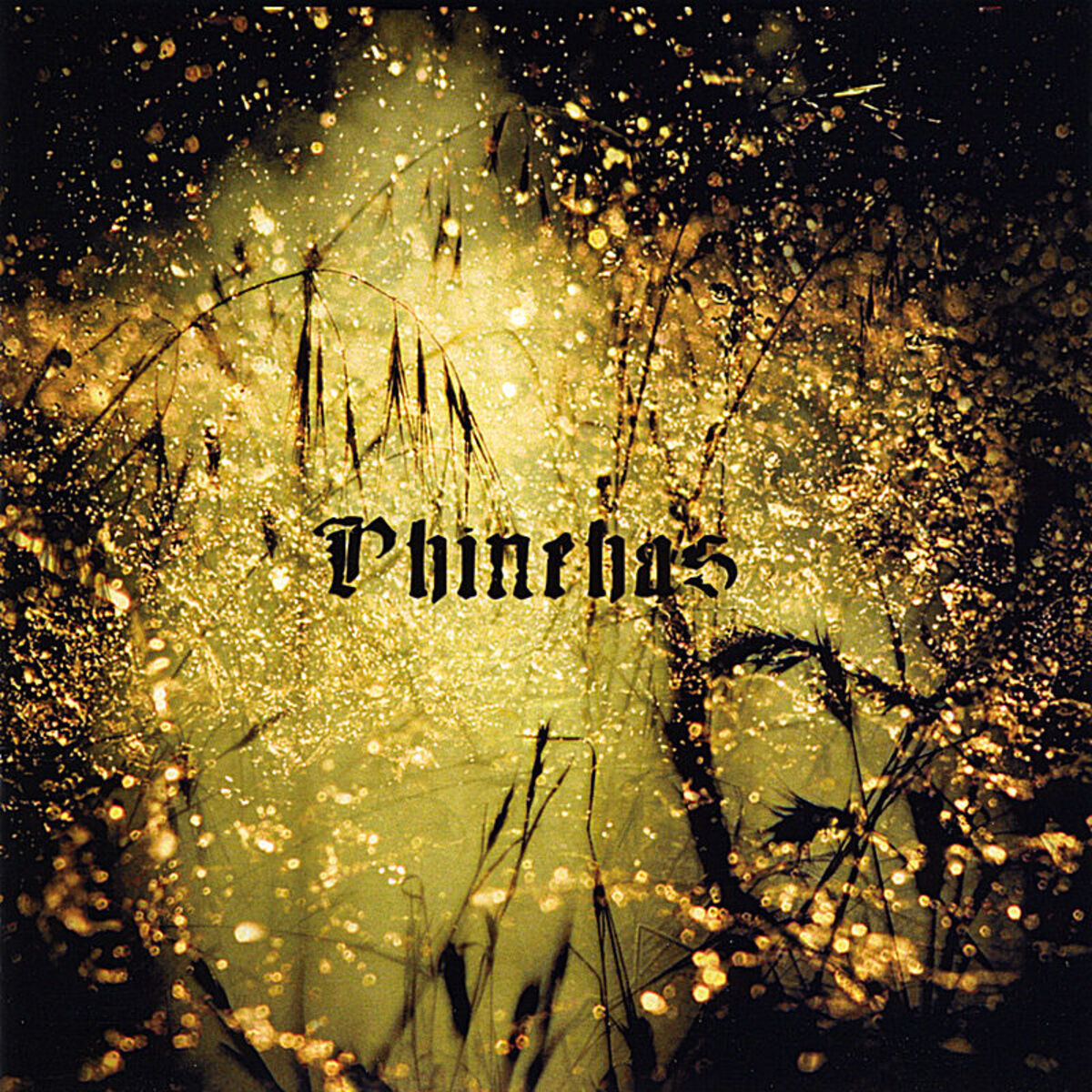 Album cover of The Phinehas - EP