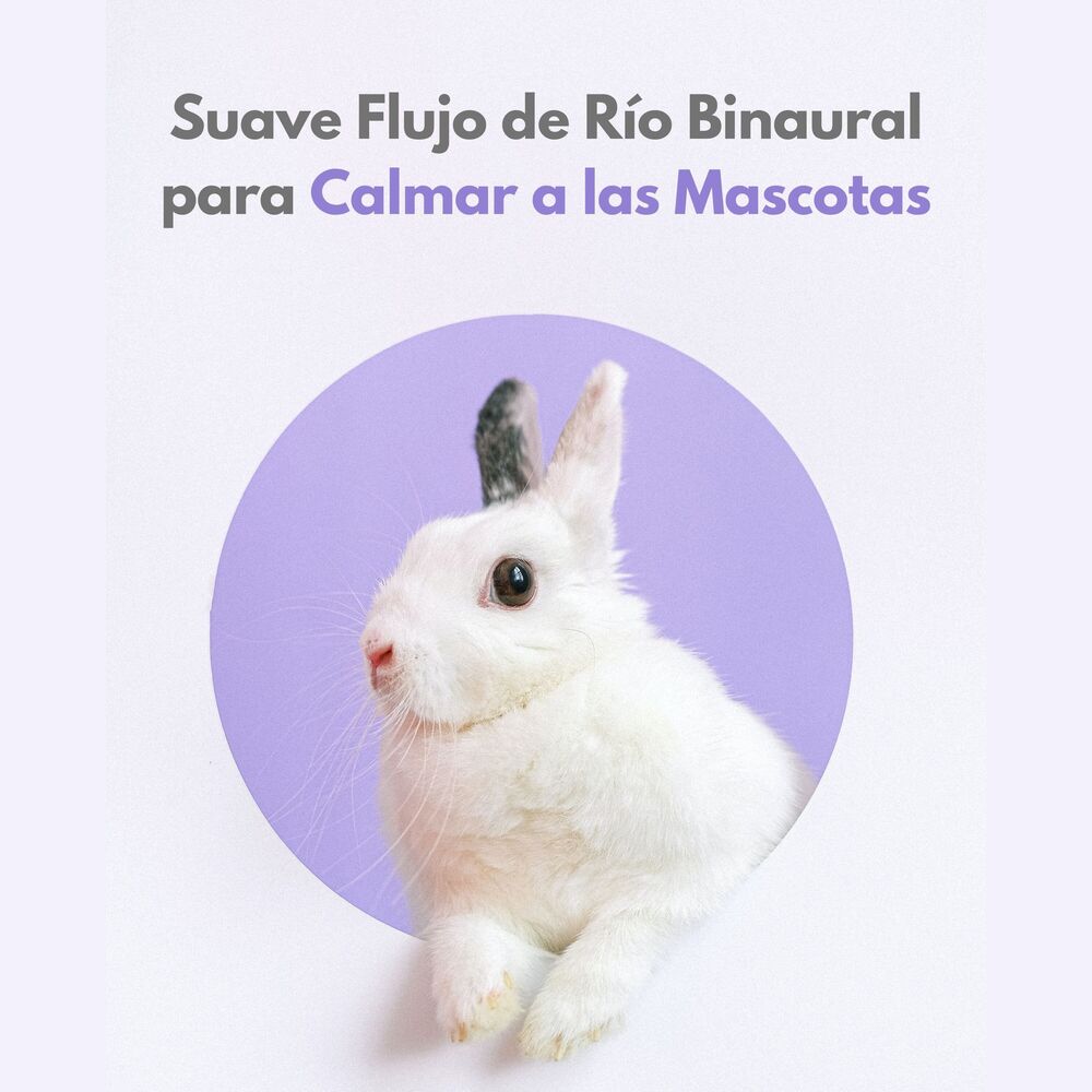 Picture of Suave Flujo De Río Binaural Para Calmar A Las Mascotas