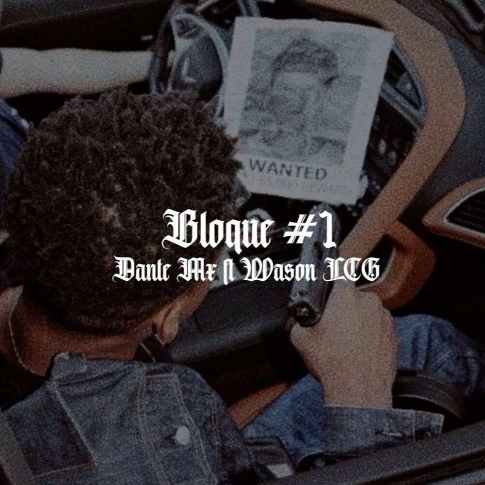Picture of Bloque 1