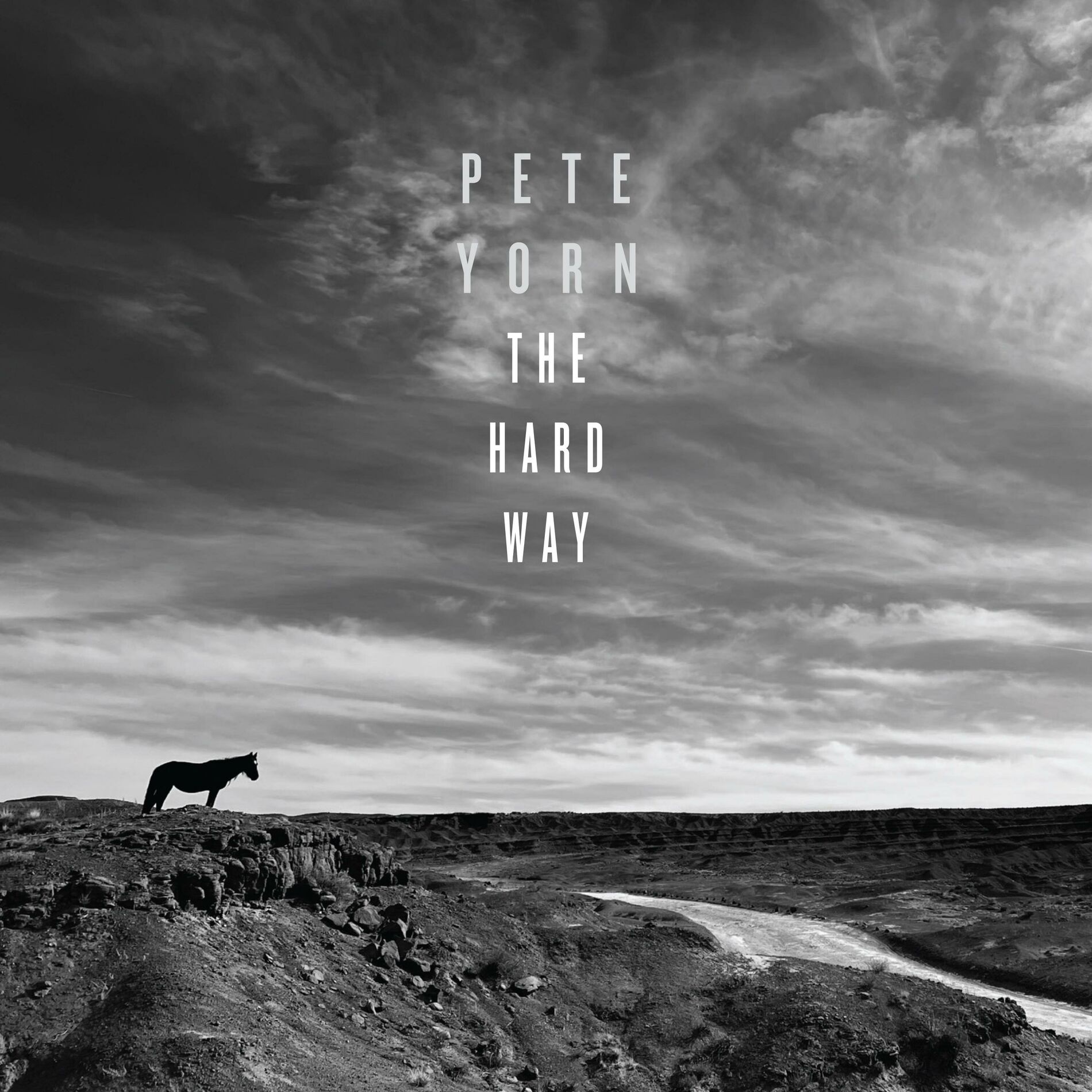 Album cover of The Hard Way