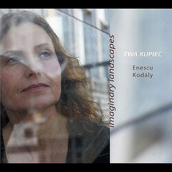 Cover of Imaginary Landscapes