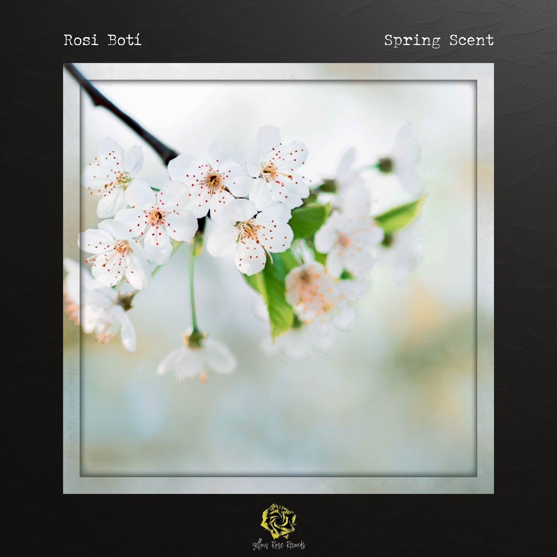 Album cover of Spring Scent