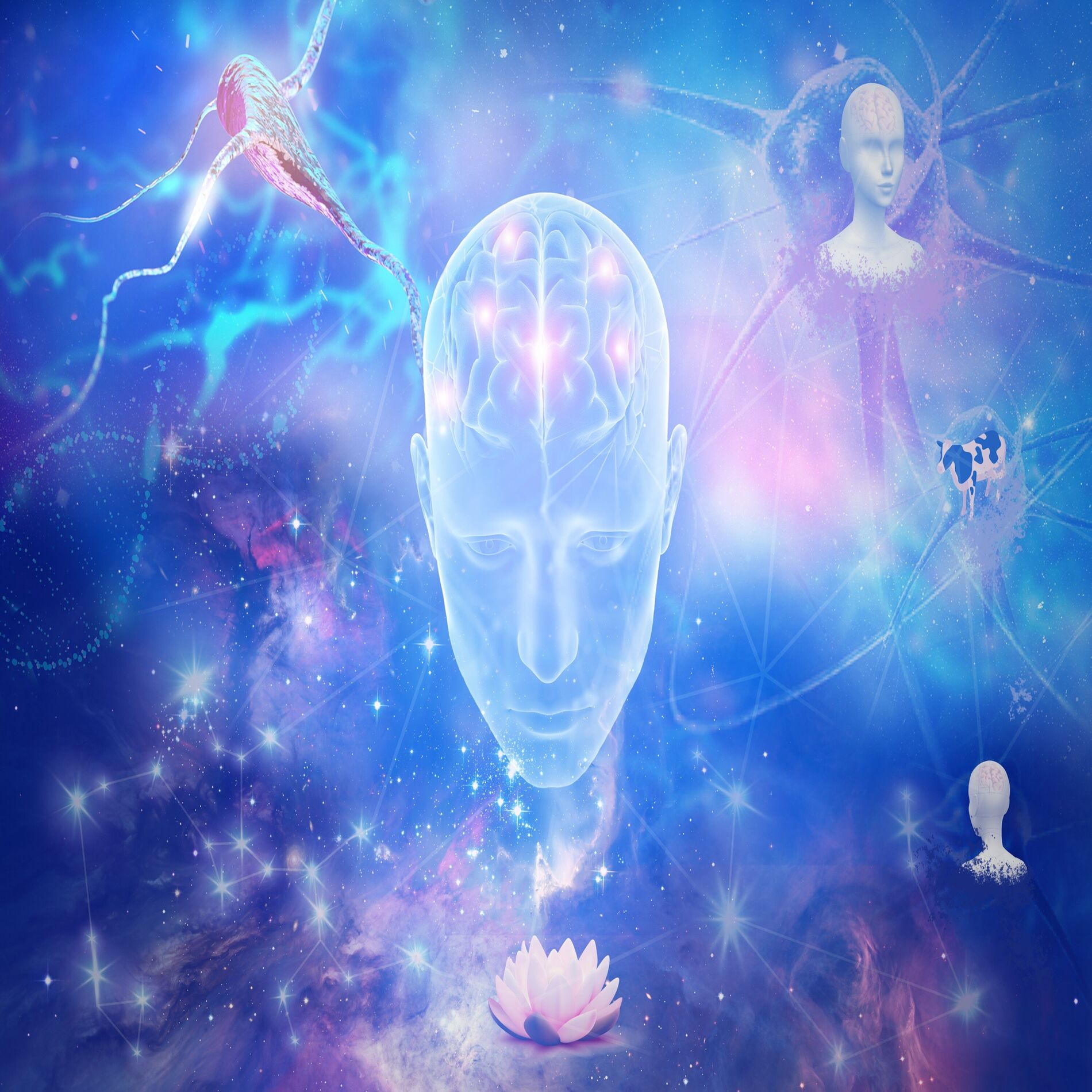 Album cover of Cerca... Conectar...