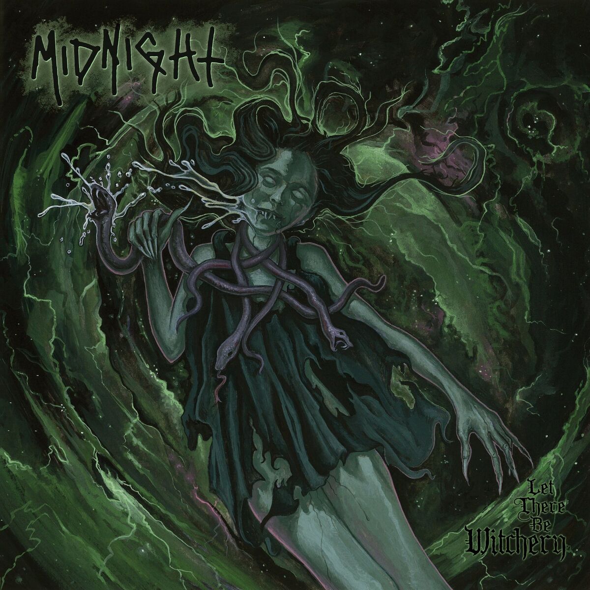 Album cover of Nocturnal Molestation
