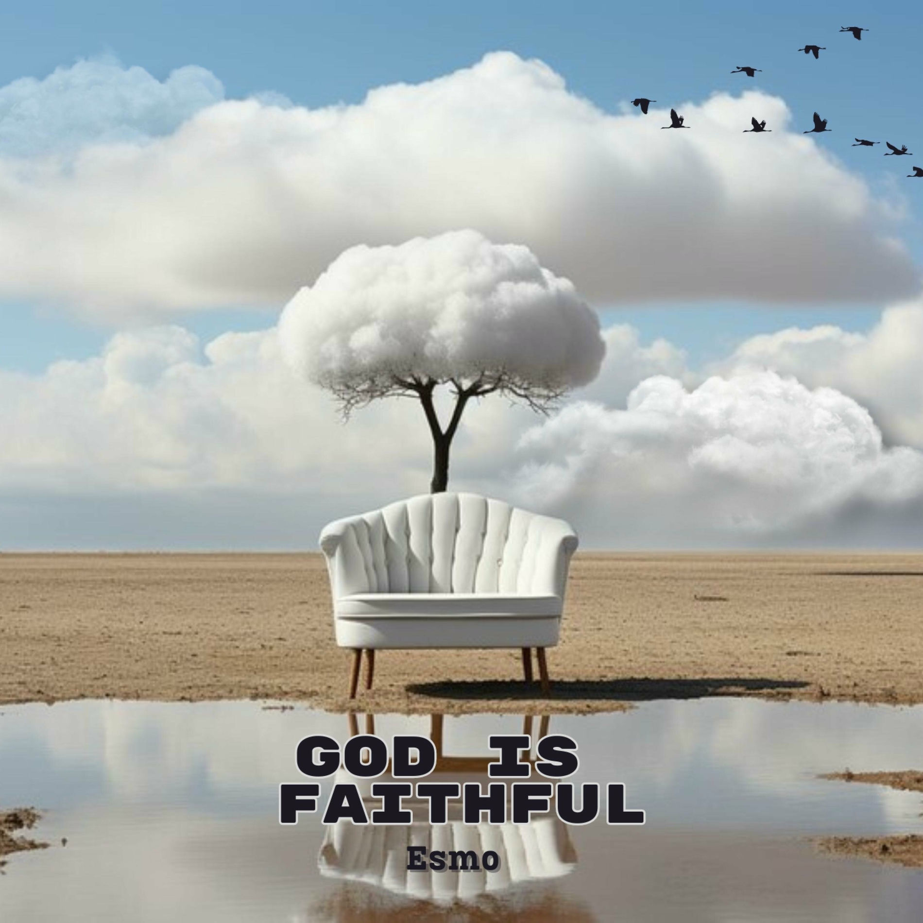 Album cover of Faithful