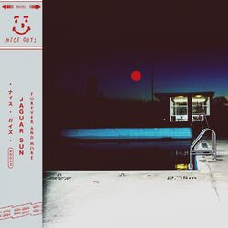 Cover of Forever and More
