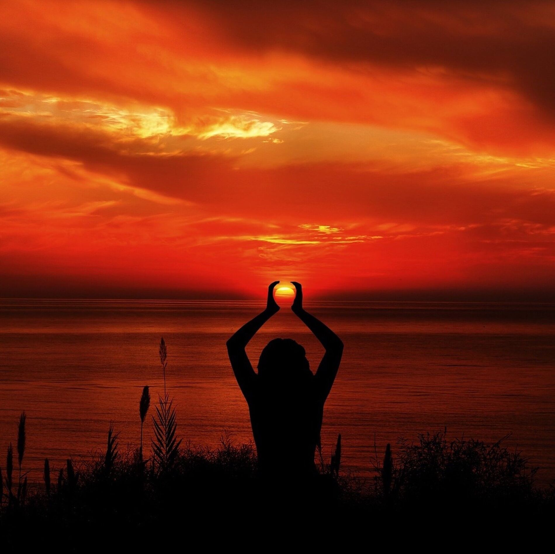 Album cover of Ocean Sunrise