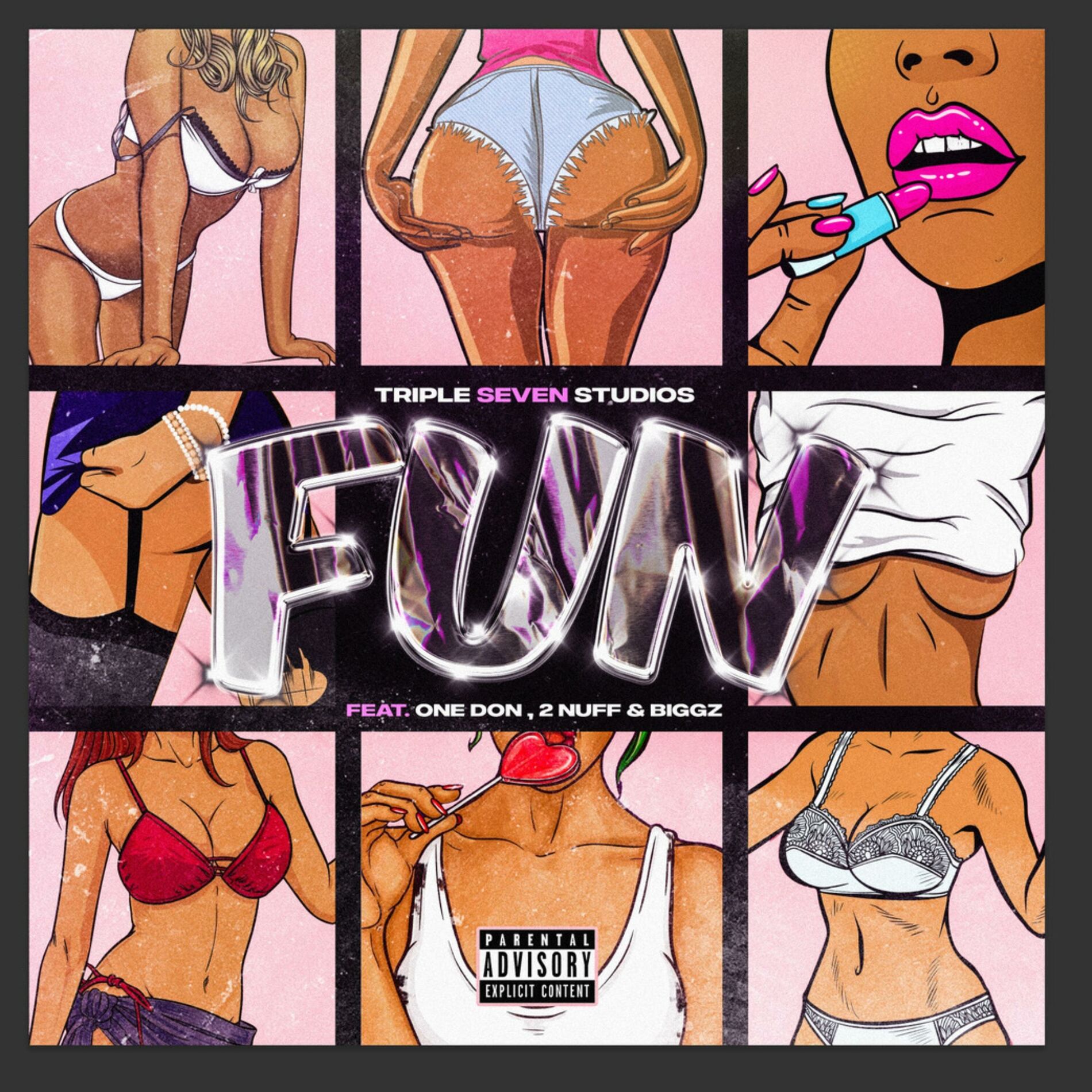 Album cover of Fun